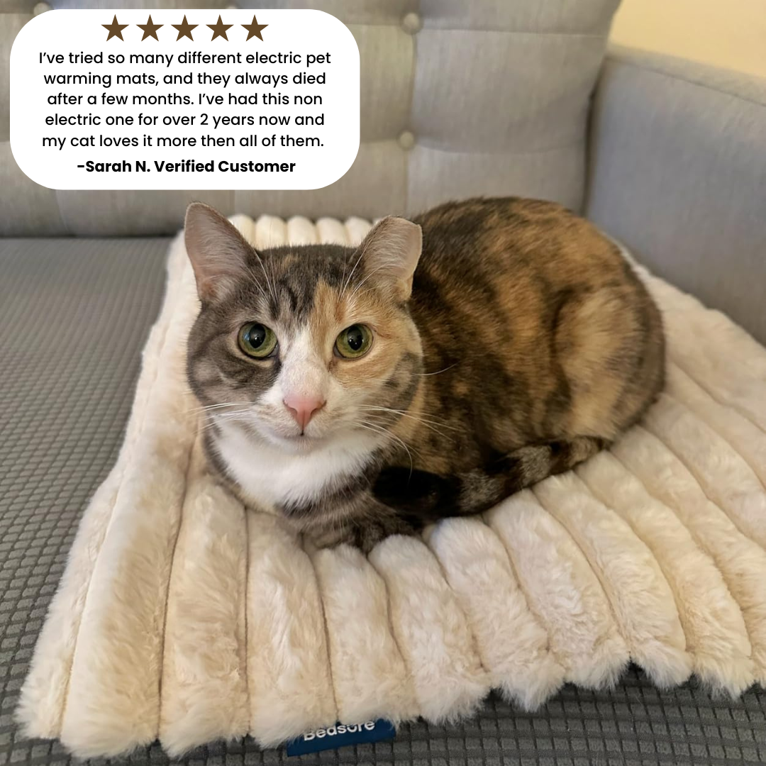 Self-Warming Cat Mat + FREE Fur Remover