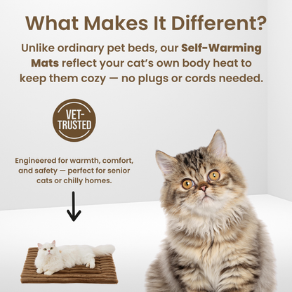 Self-Warming Cat Mat + FREE Fur Remover