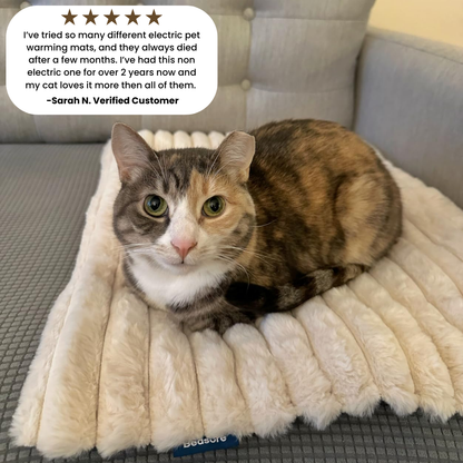 Self-Warming Cat Mat + FREE Fur Remover